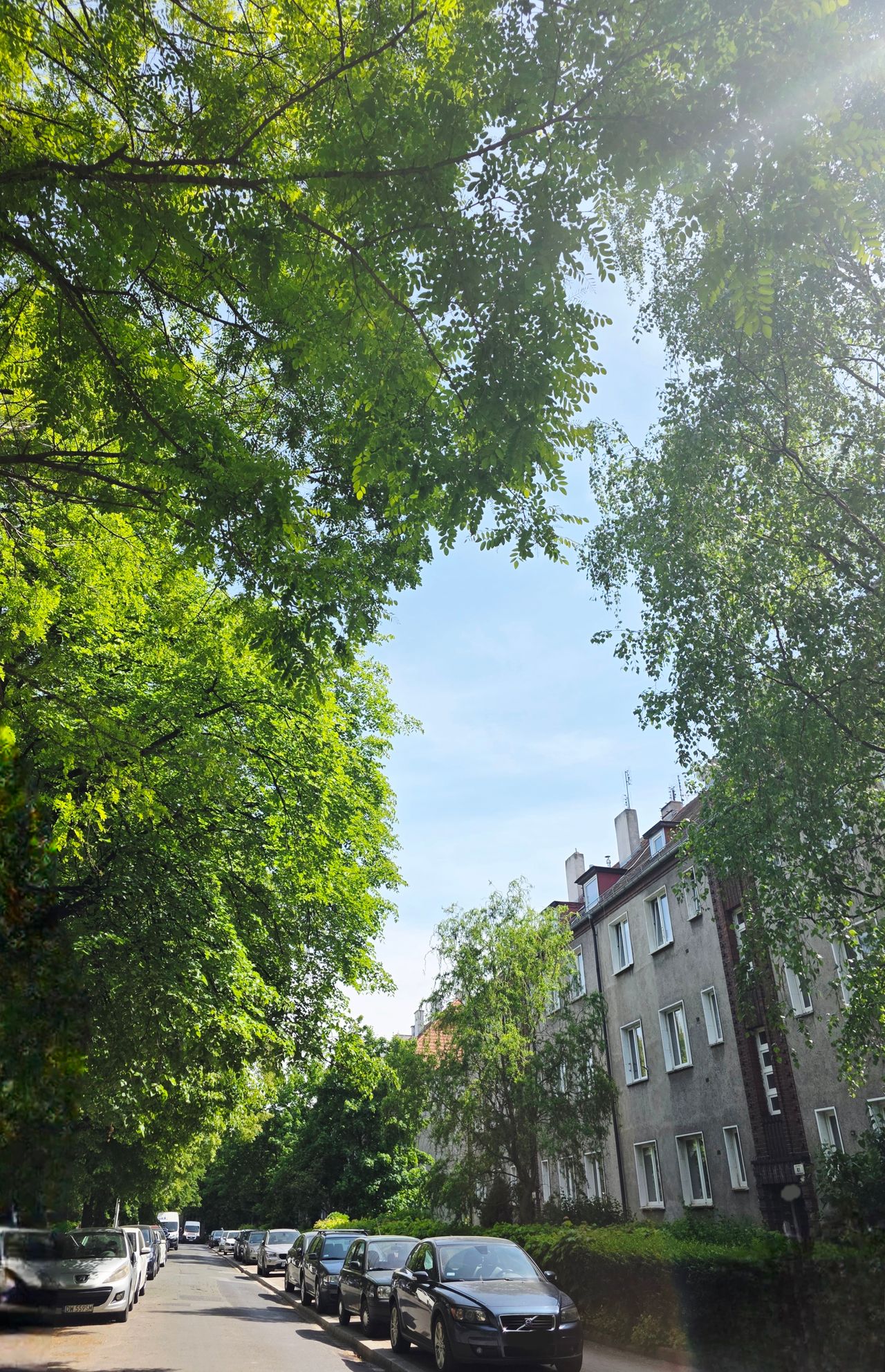 Agnieszka Michalak-15