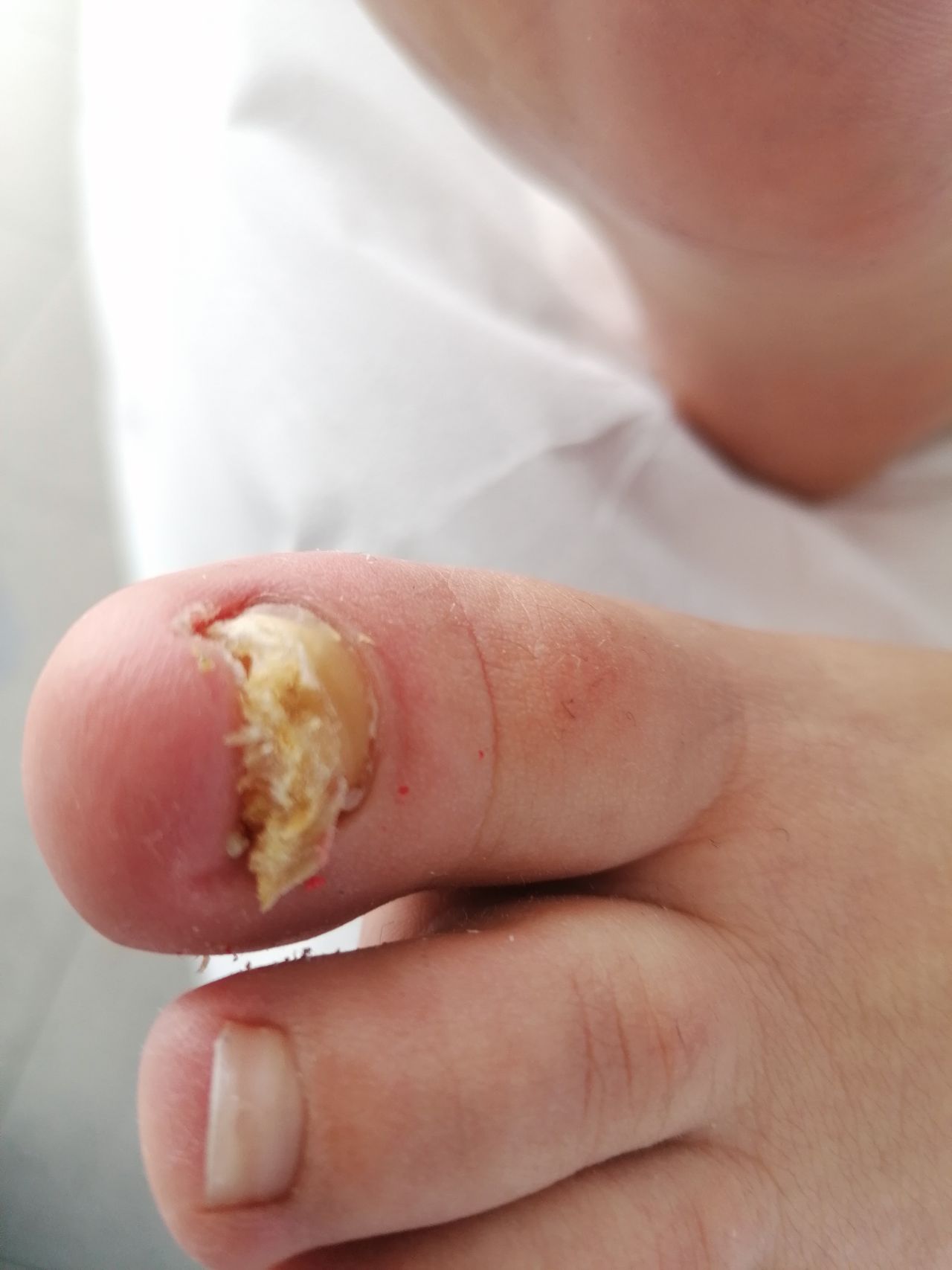 Kassandra Nicolosi-330