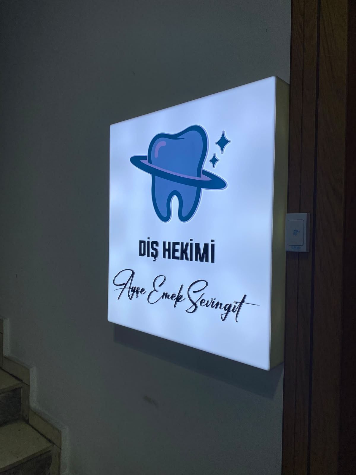 Ayşe Emek Sevingit-1