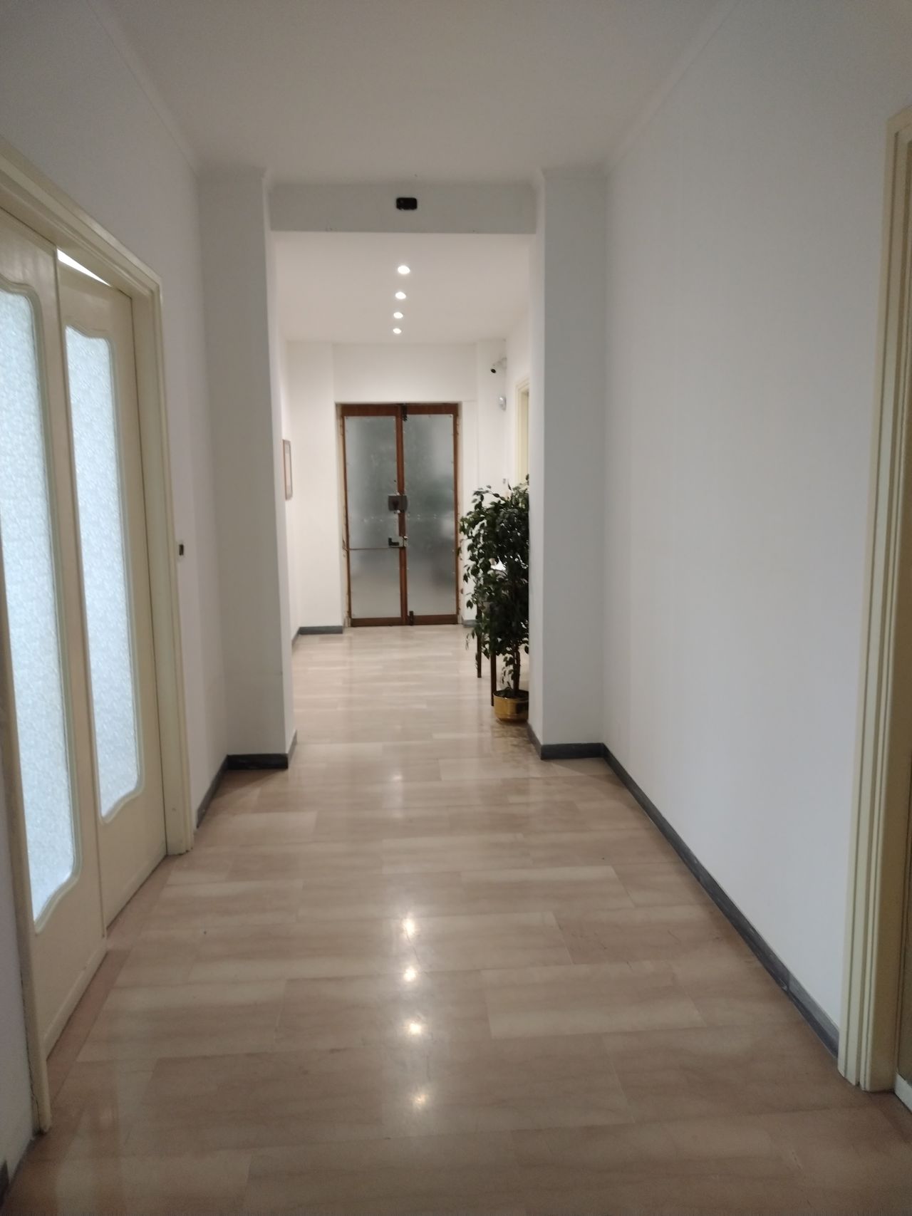 Maria Teresa Belgiovine-4