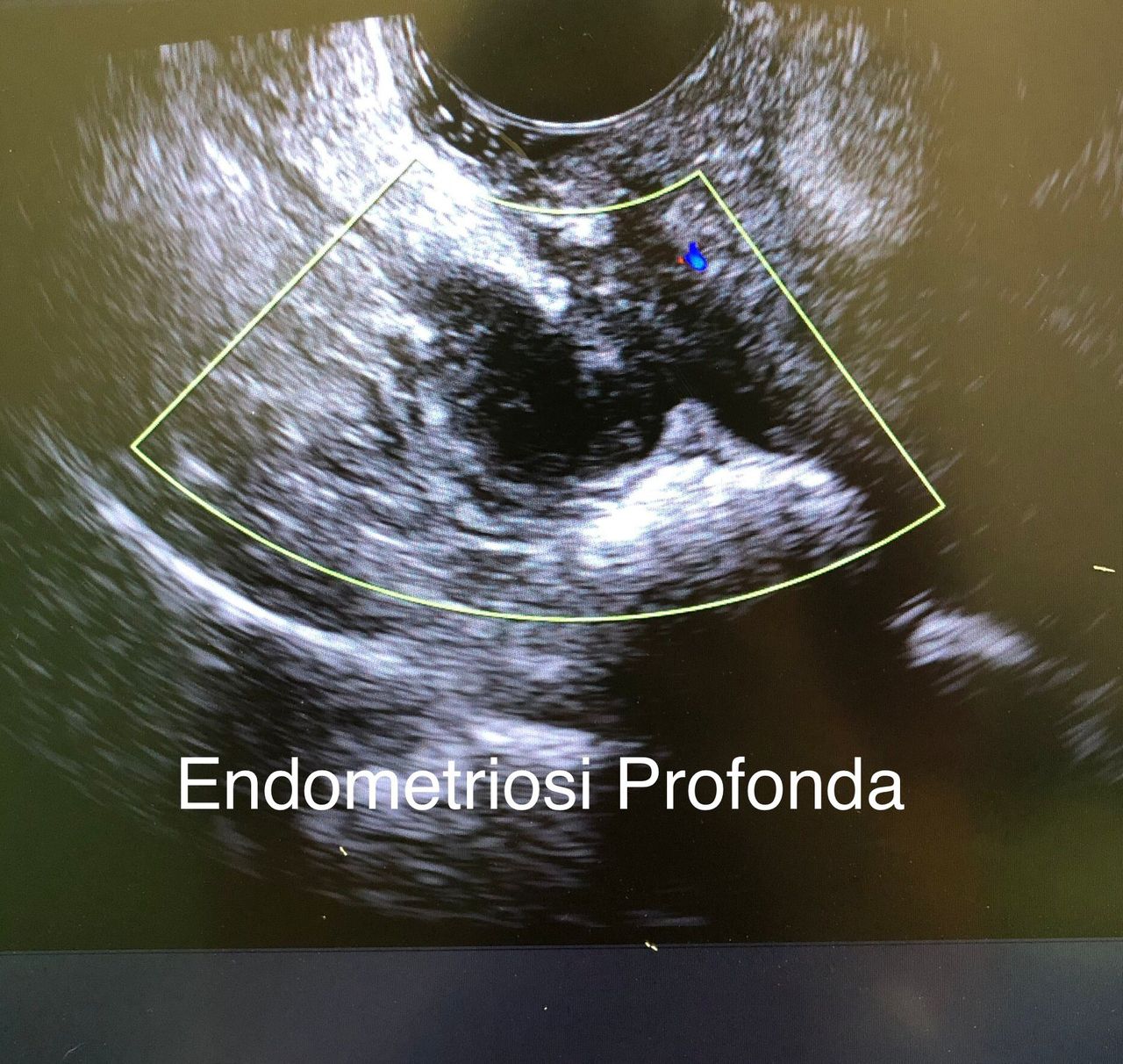 Viviana Lo Presti-10