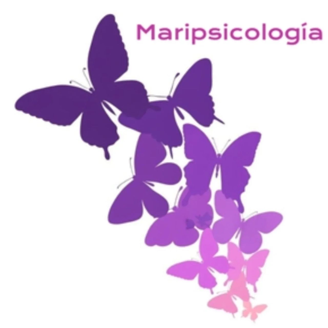 Mari Carmen Martorell Martínez-0