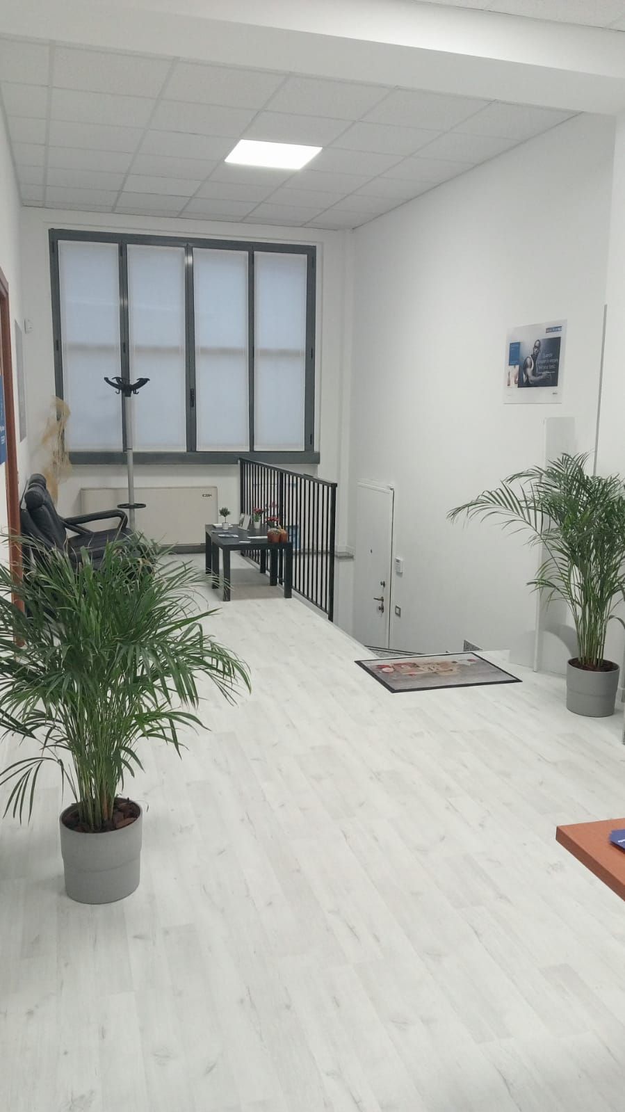 Costantinos Lagoussis-4