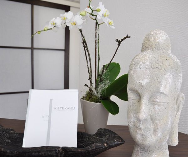 Dorothea Hebebrand-4