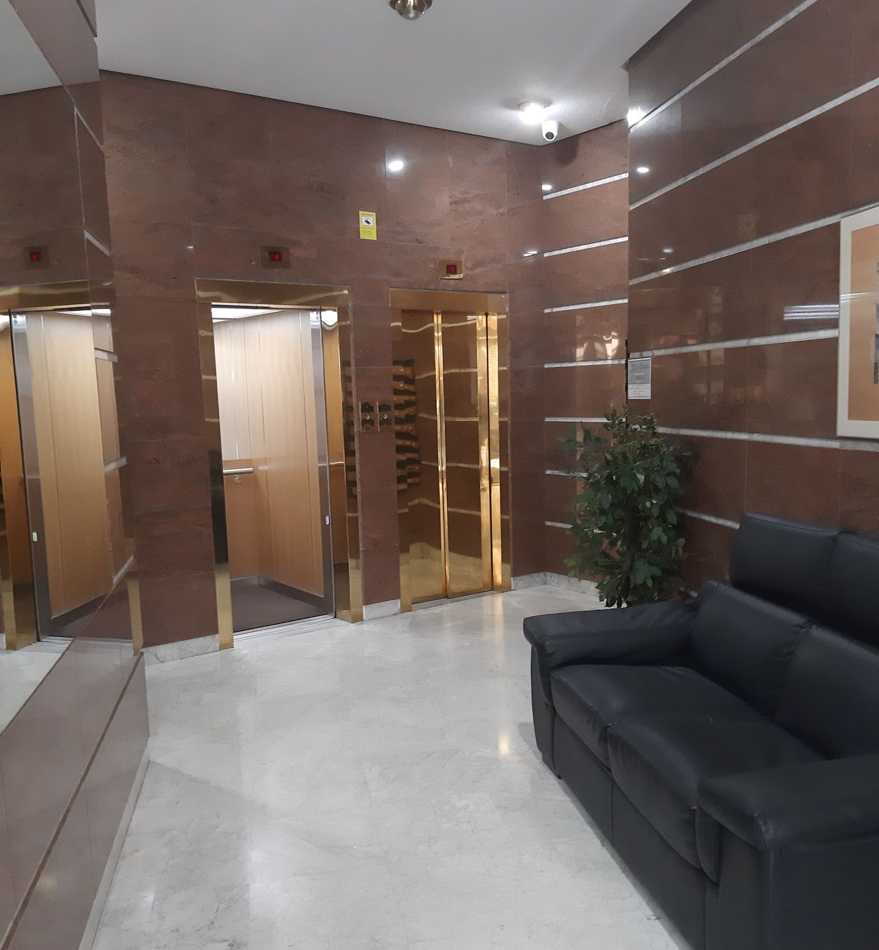 Olga Diéguez Sabucedo-5