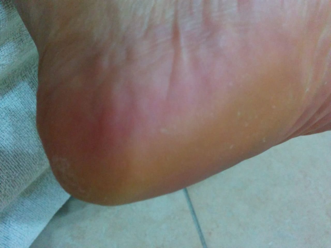 Kassandra Nicolosi-78