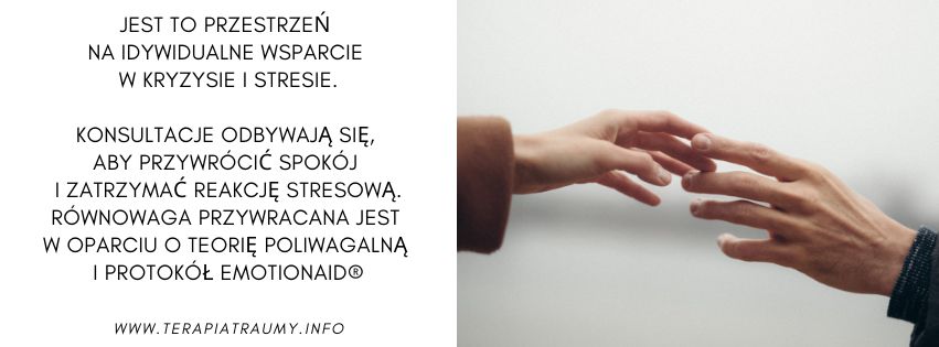 Dorota Trzmielewska-6