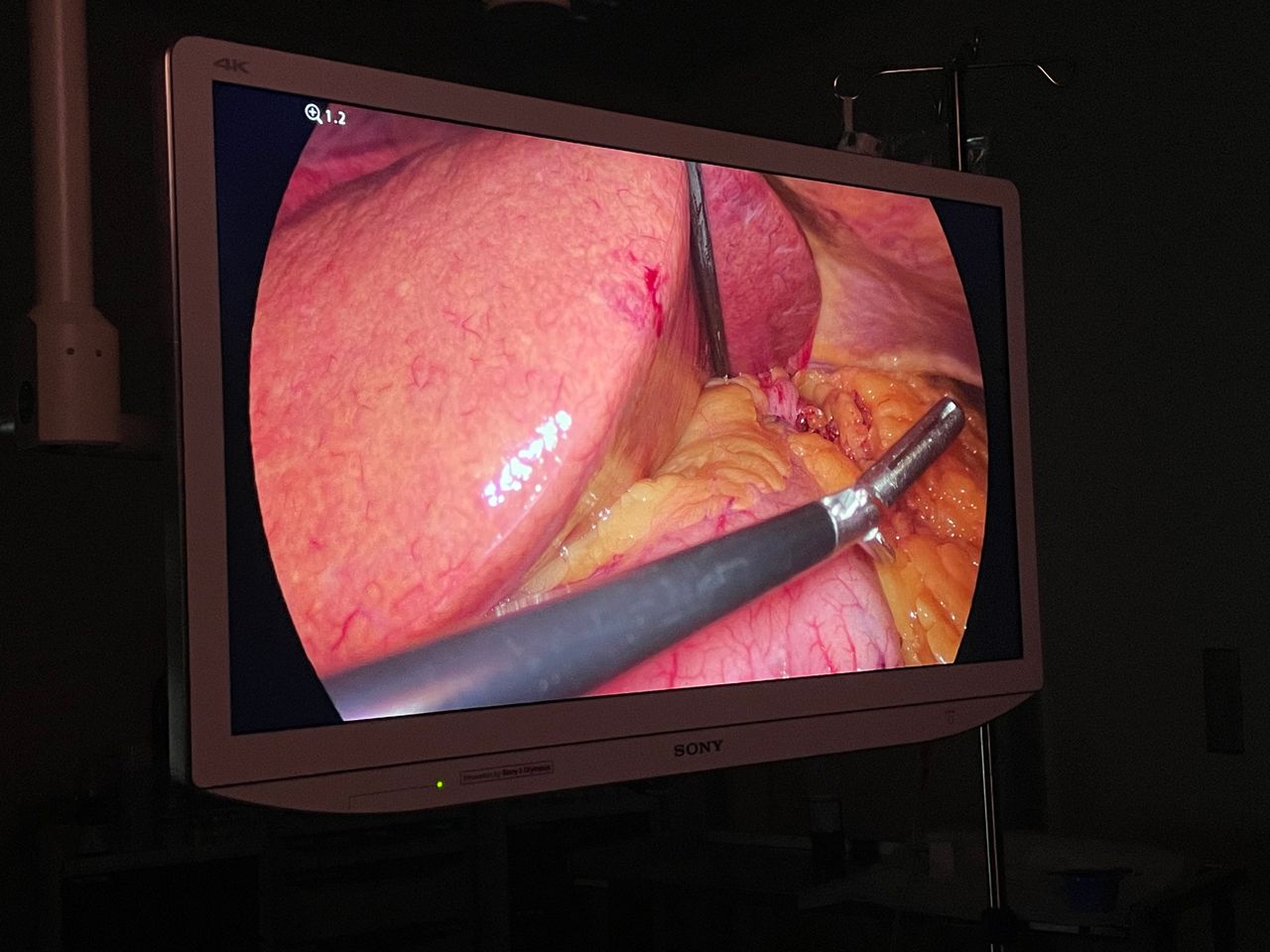 Óscar González López-12