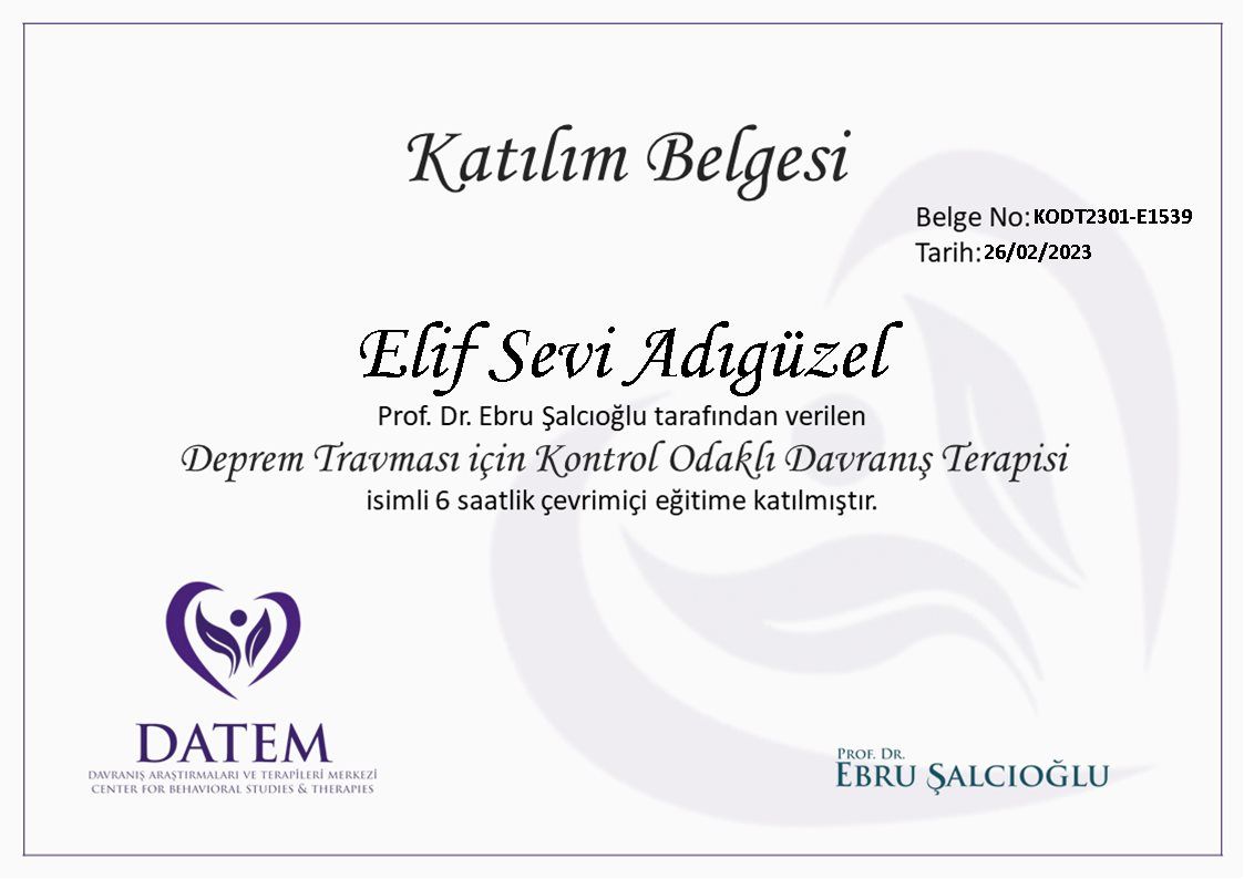 Elif Sevi Adıgüzel-14