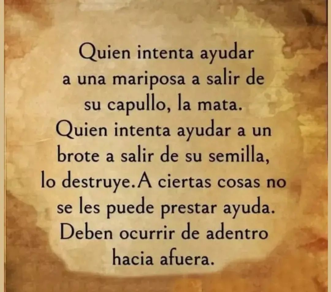 Paula Hernández Rodríguez-3