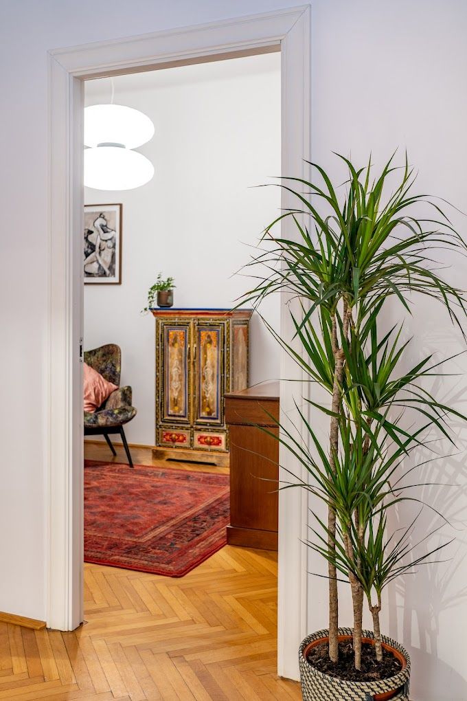 Dominika Stelmaszczyk-2