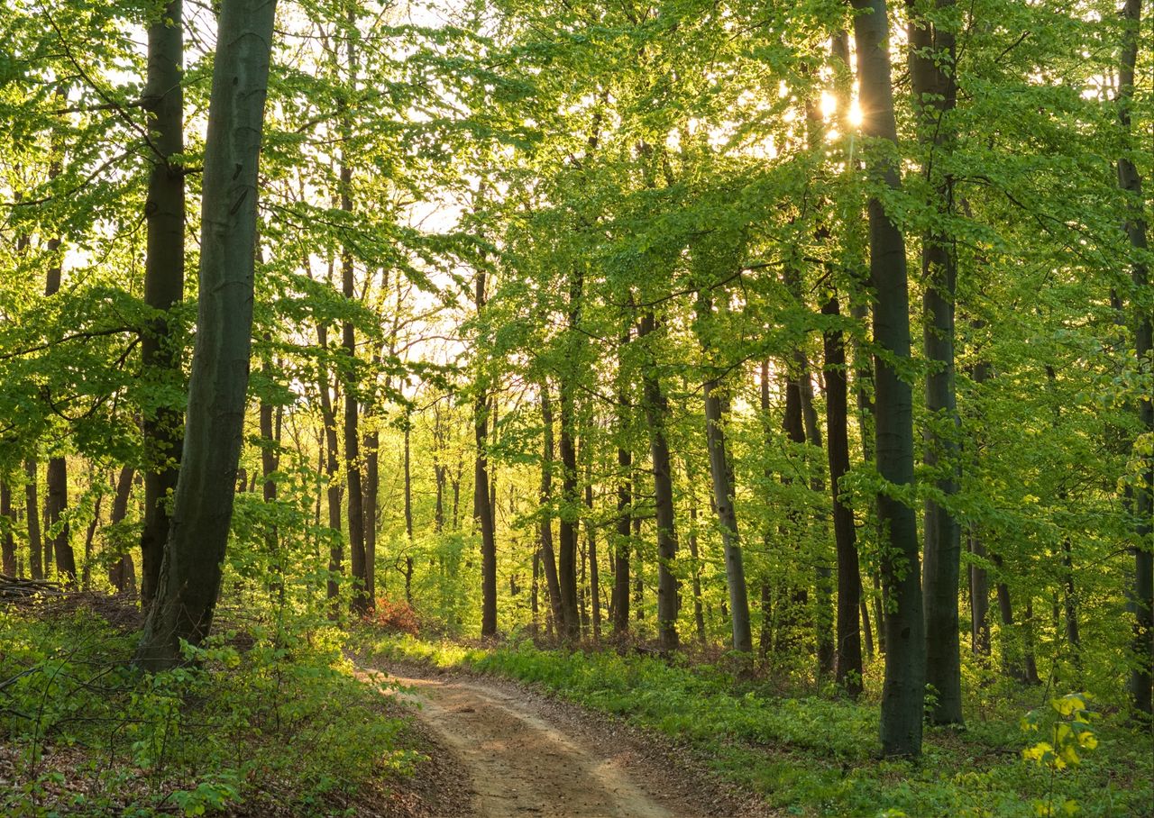 Martina Kammerlander-Fischer-6