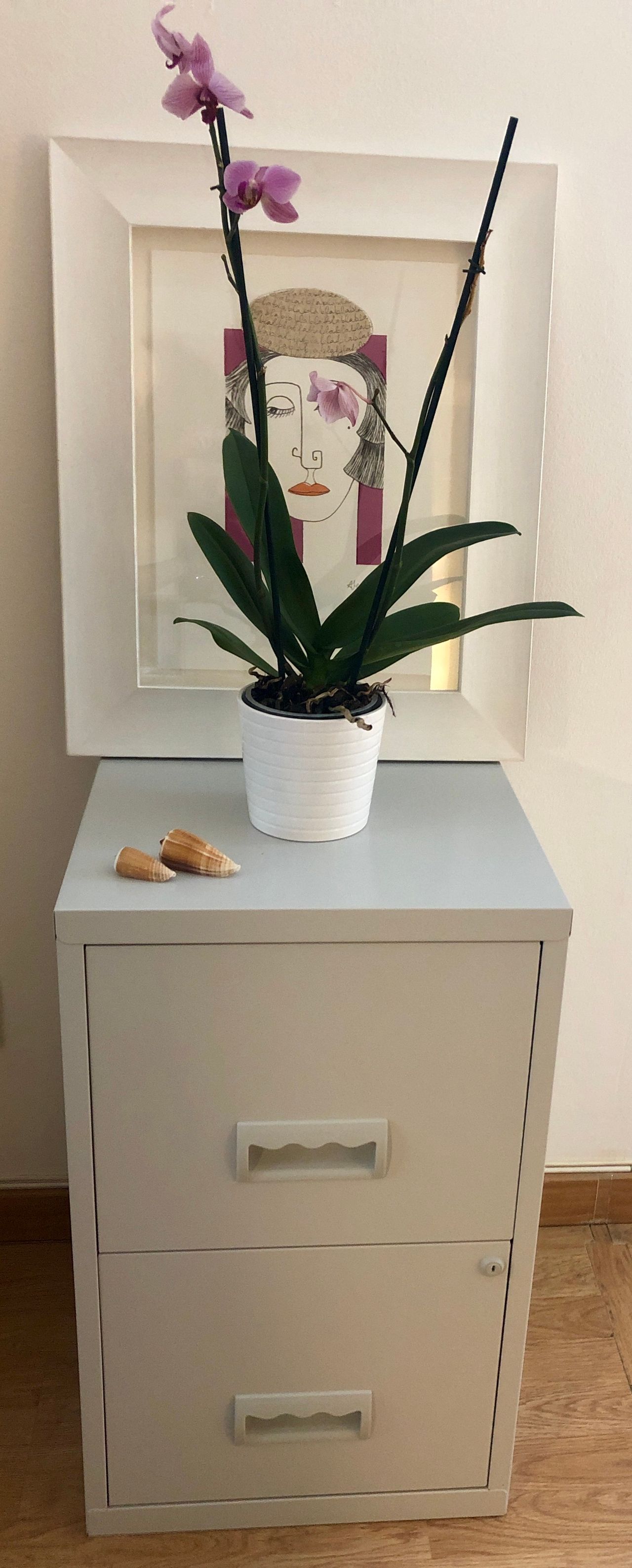 Wanda Cogollos Barrachina-3