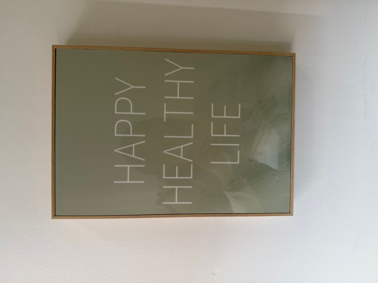 Gara A. Segura Rodríguez-3