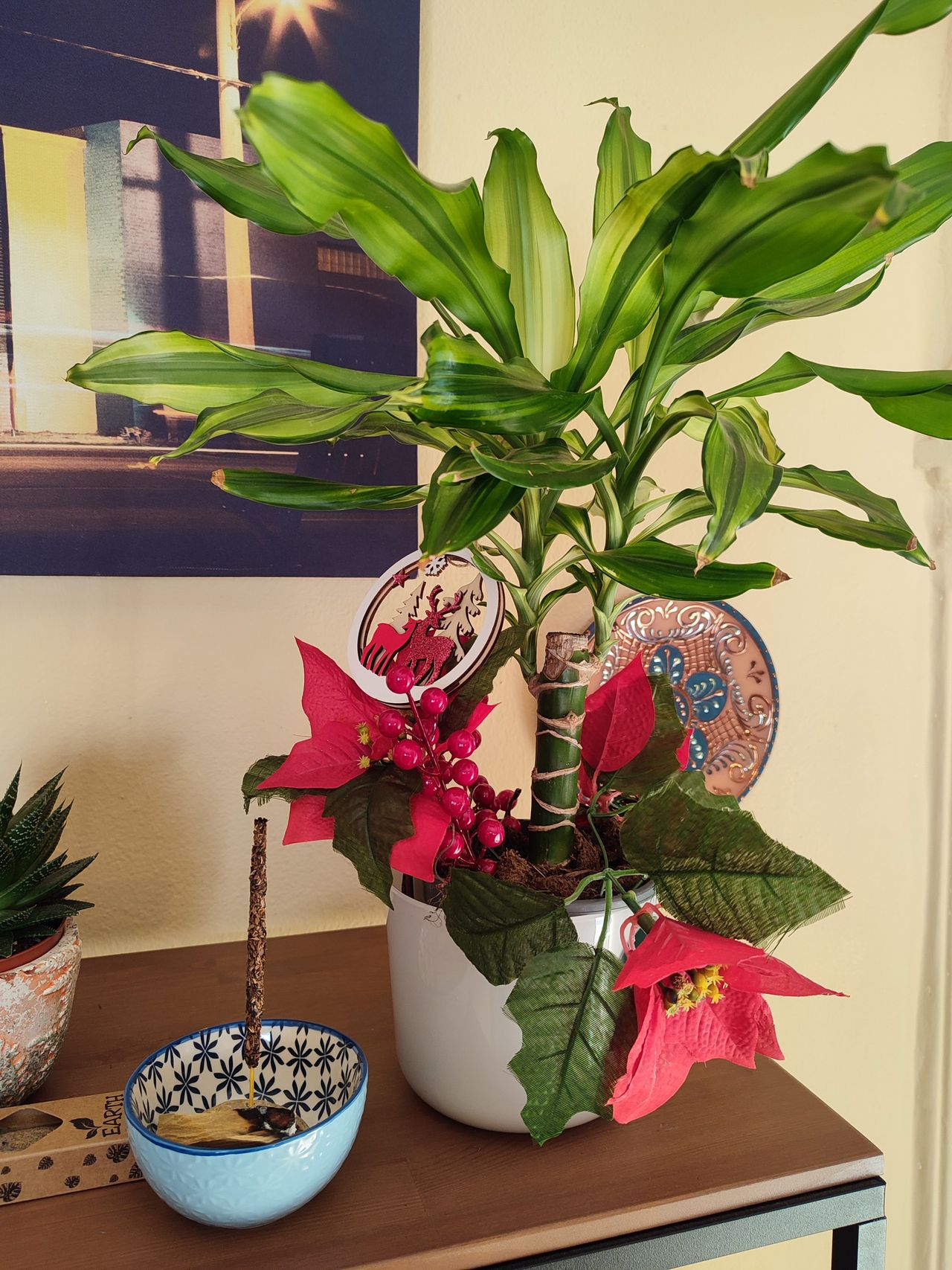 Jose Aranda Álvarez-6