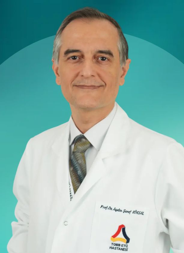 Aydın Şeref Köksal-1