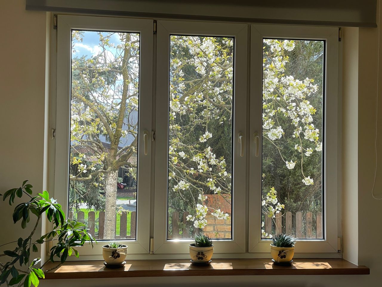 Marzanna Mielnicka-3