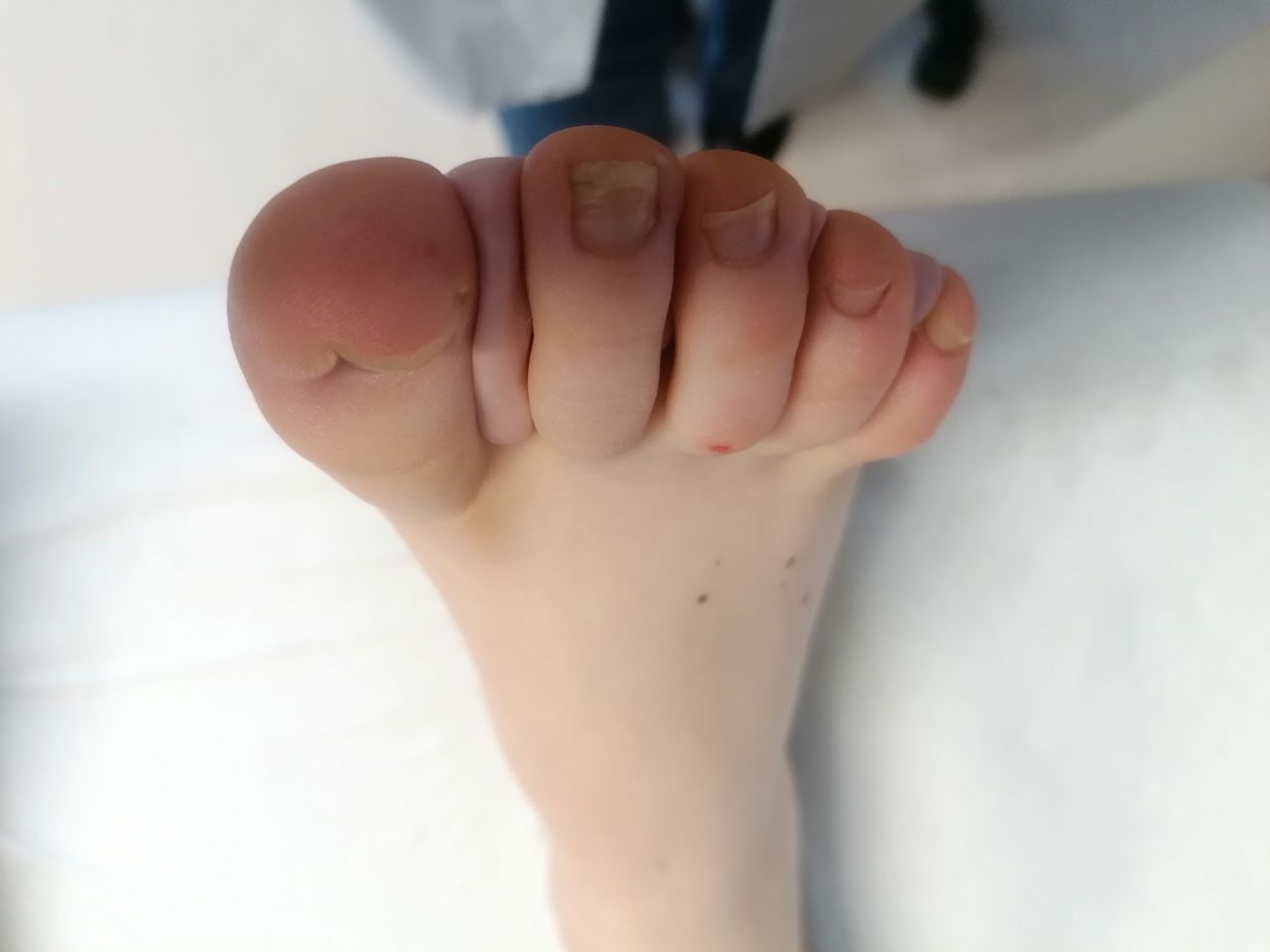 Kassandra Nicolosi-363