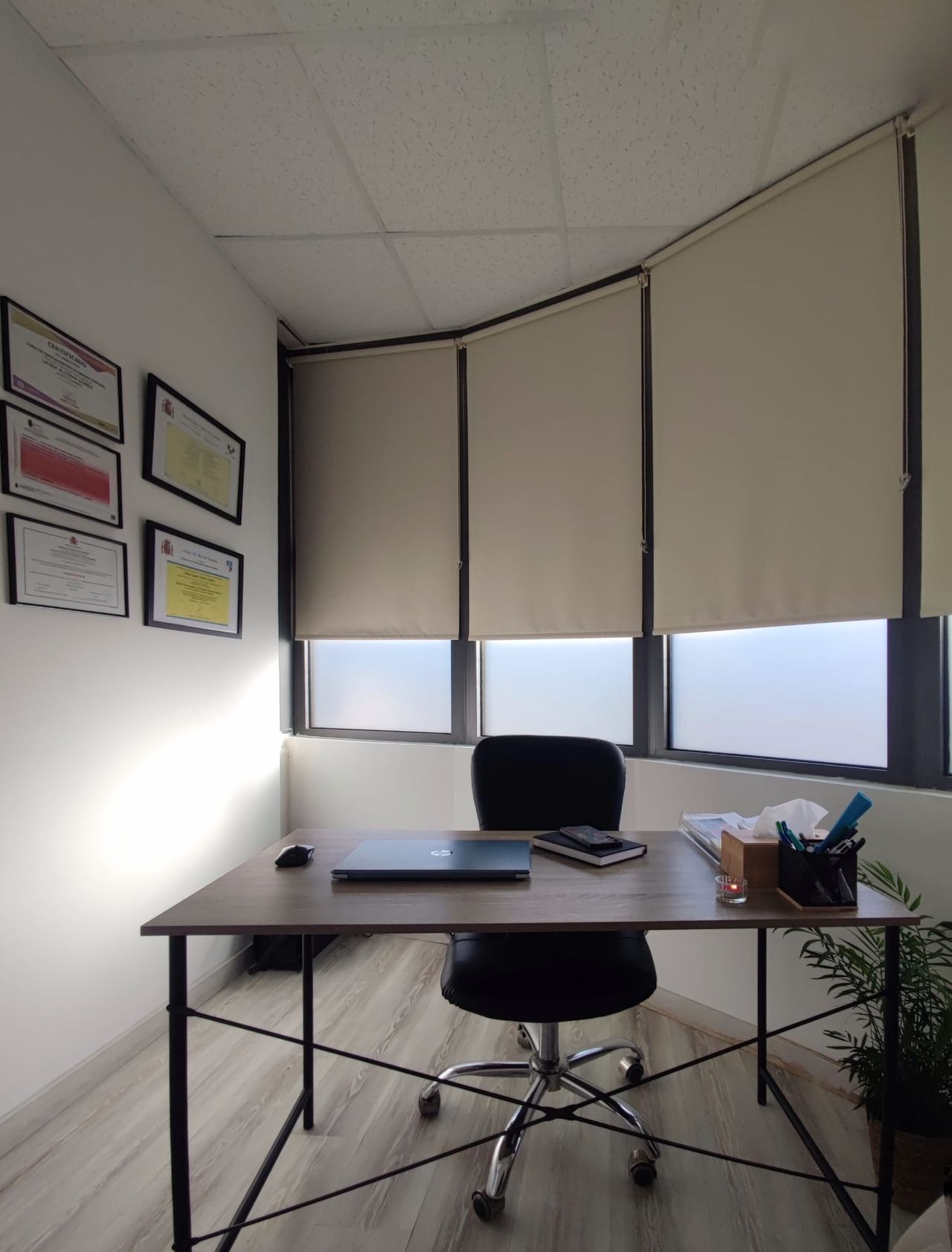 Laura Alcíbar Gómez-4