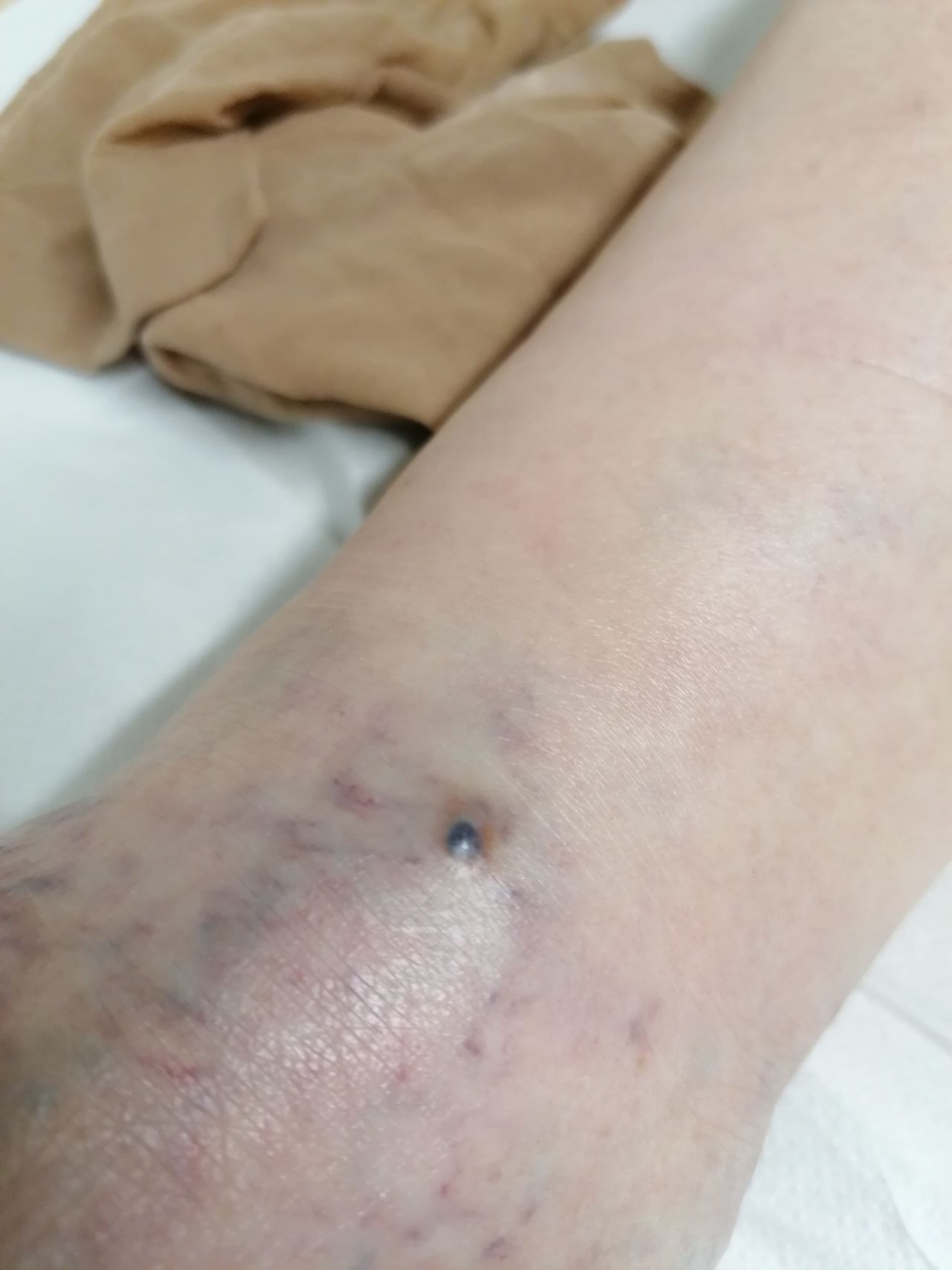 Kassandra Nicolosi-44