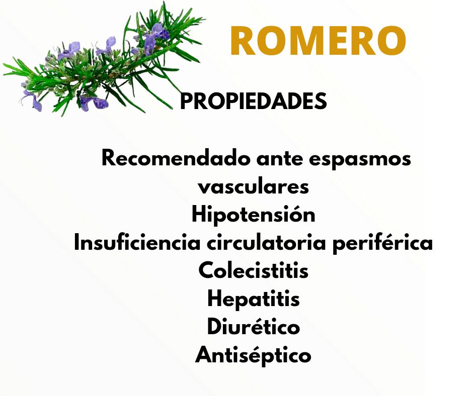 Beatriz Beltran Jordá-25