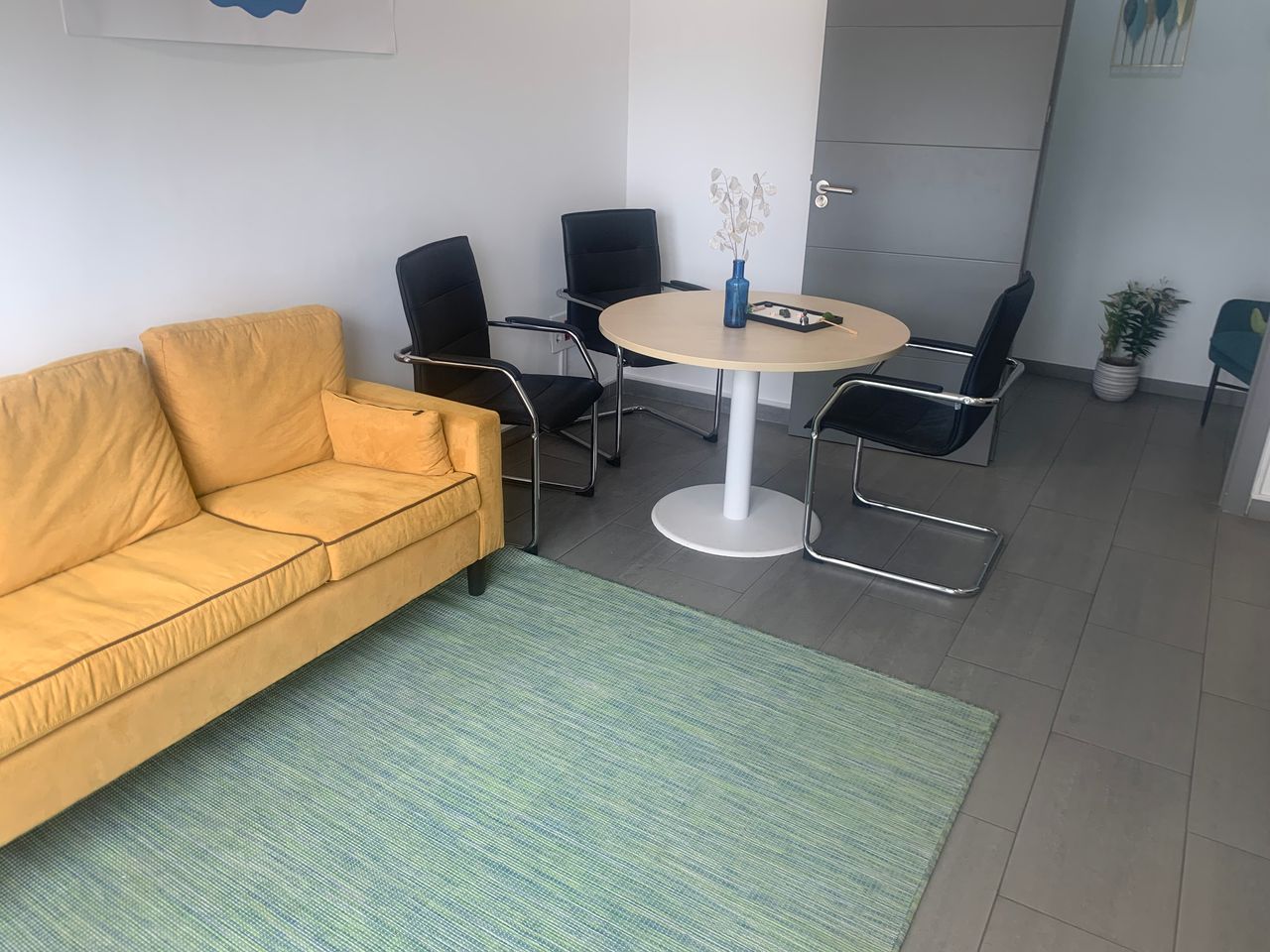 Carmen Villasuso Garcia-0