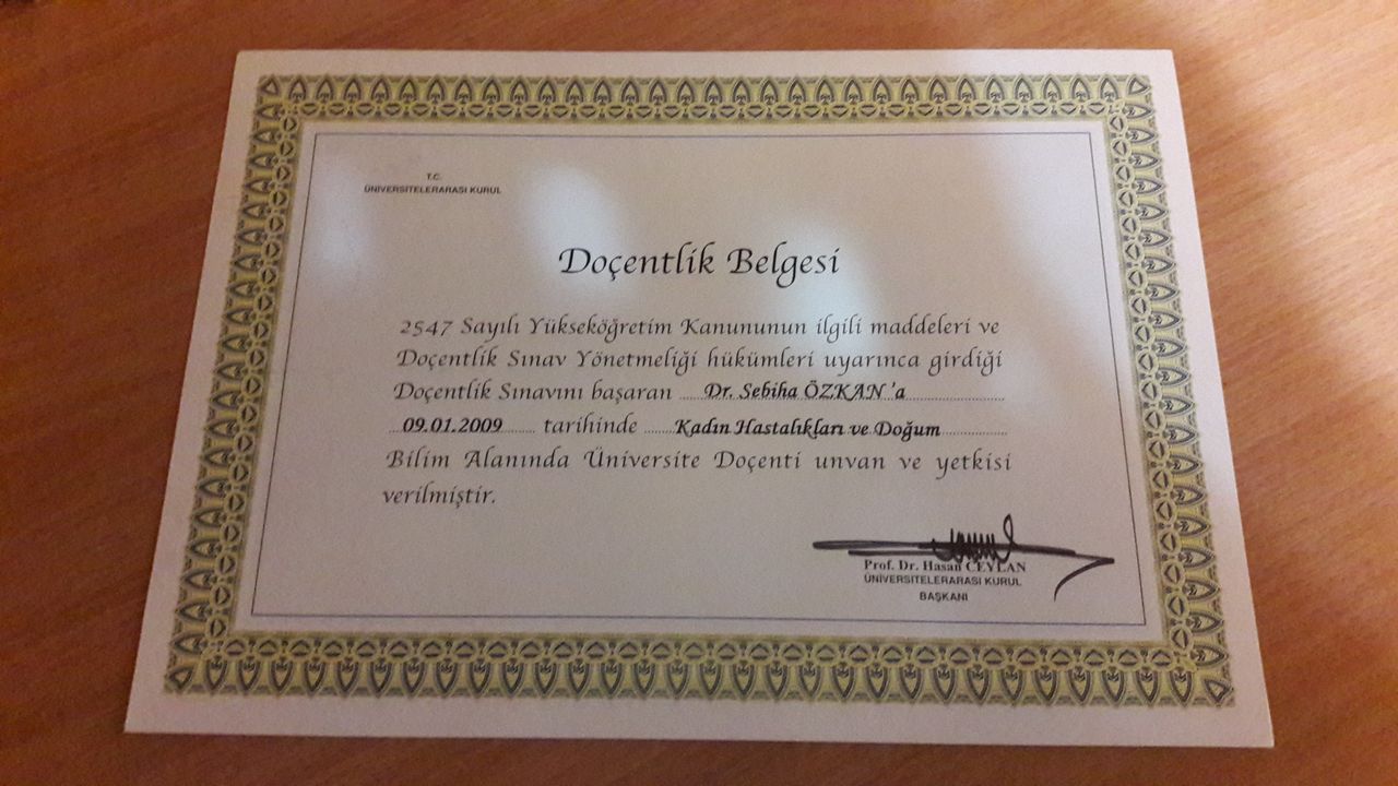 Sebiha Özdemir Özkan-1