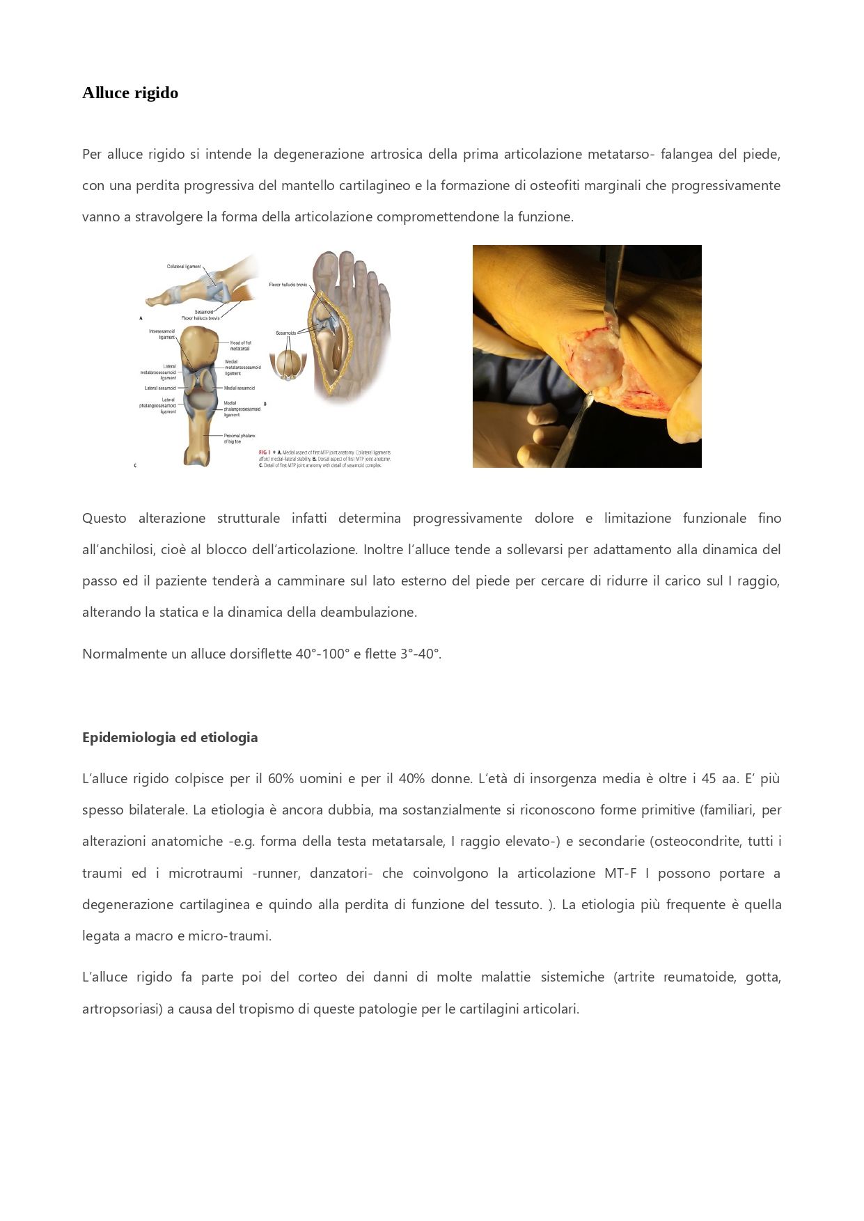 Alessio Manciameli-6