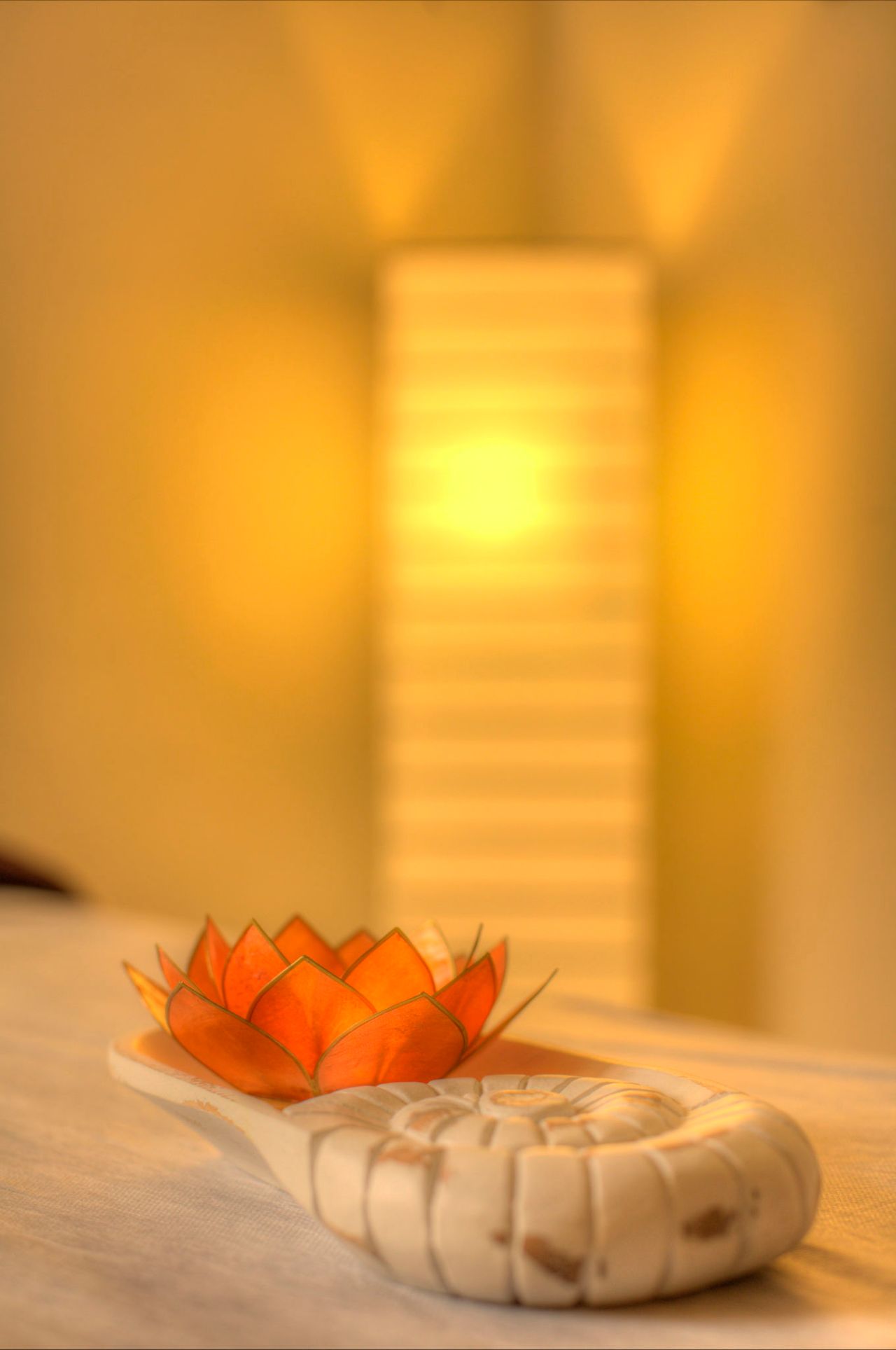 María Robles Díaz-14