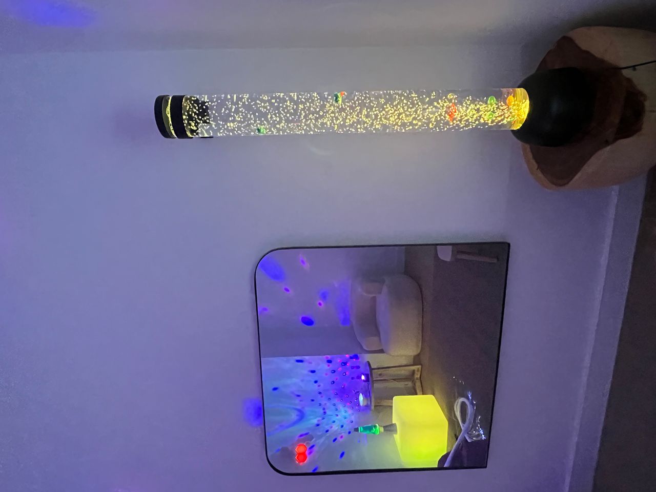 Carolina Vivas Trussi-6