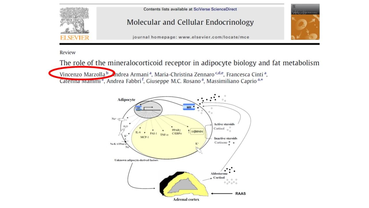 Vincenzo Marzolla-23