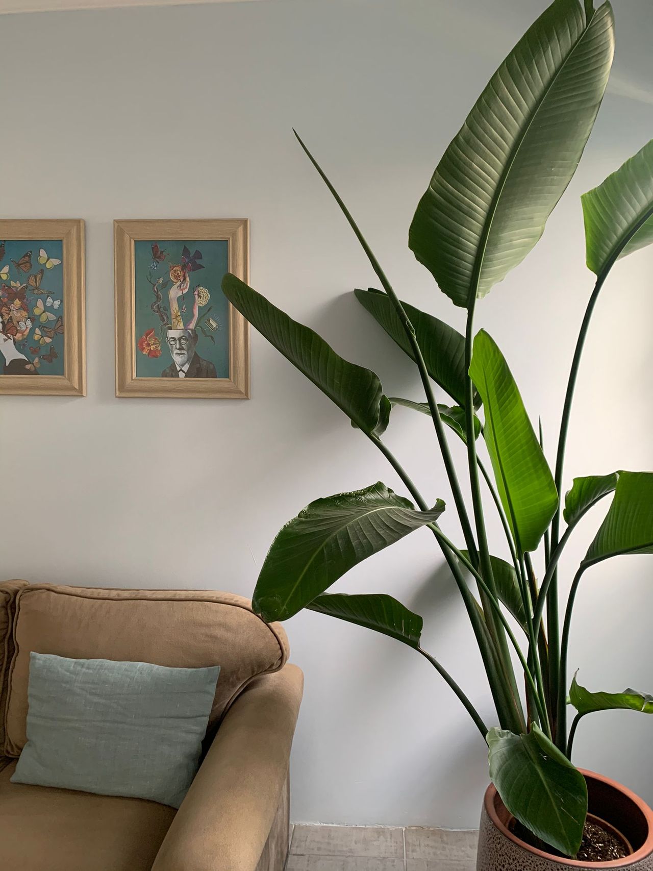 Deniz Şevval Kuyucak-1