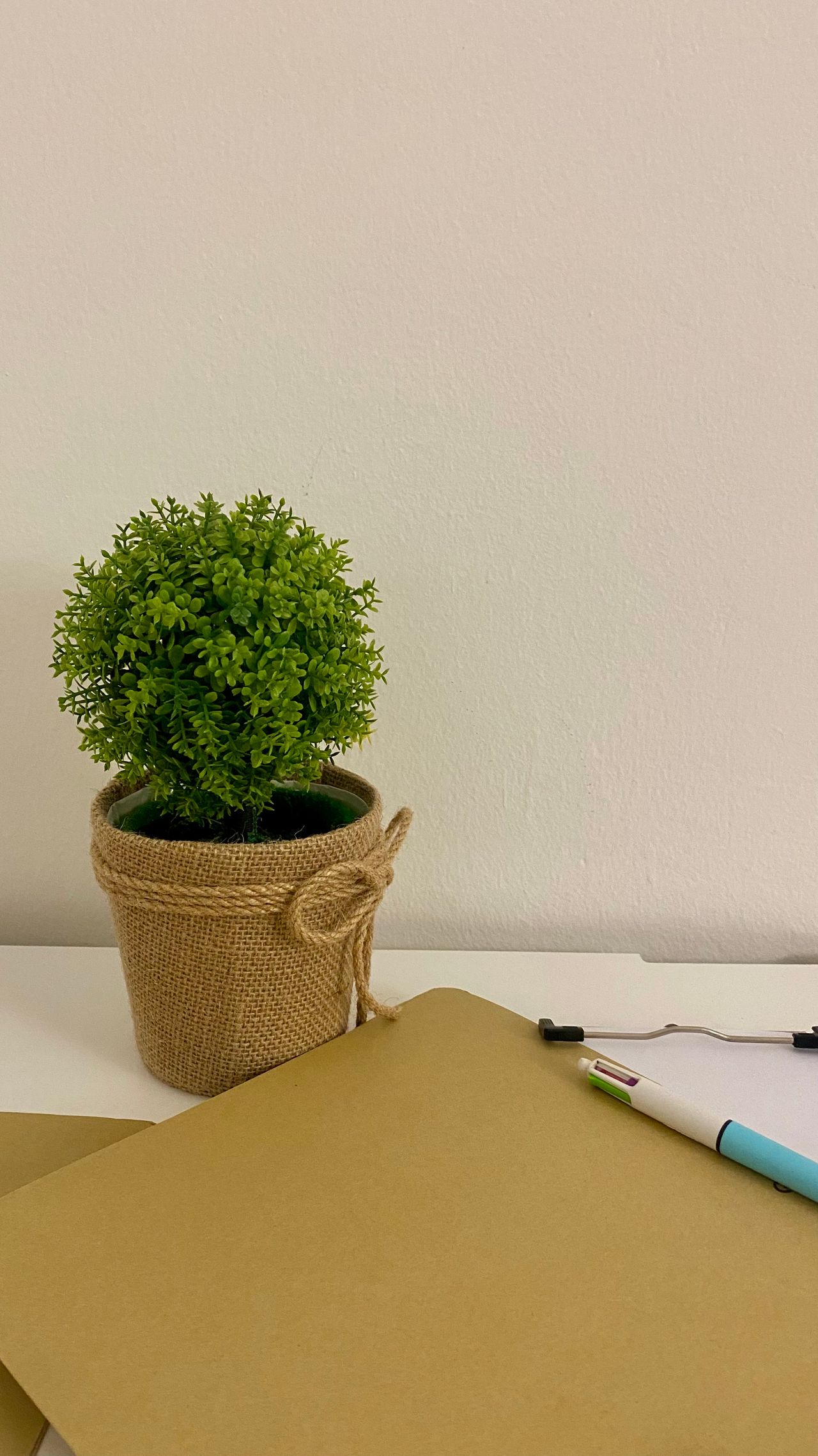 Cristina Mulet Fortuny-3