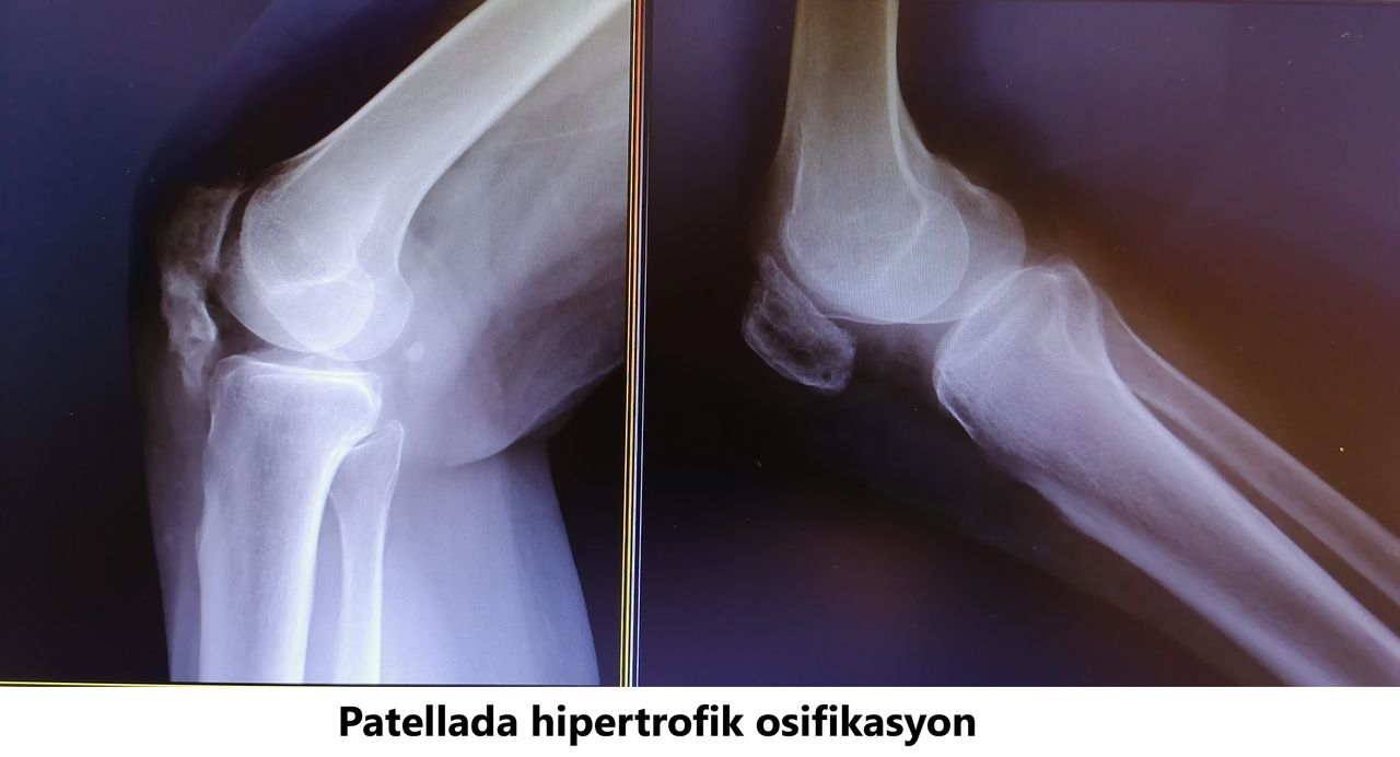 Javid M. Azarabadı-11