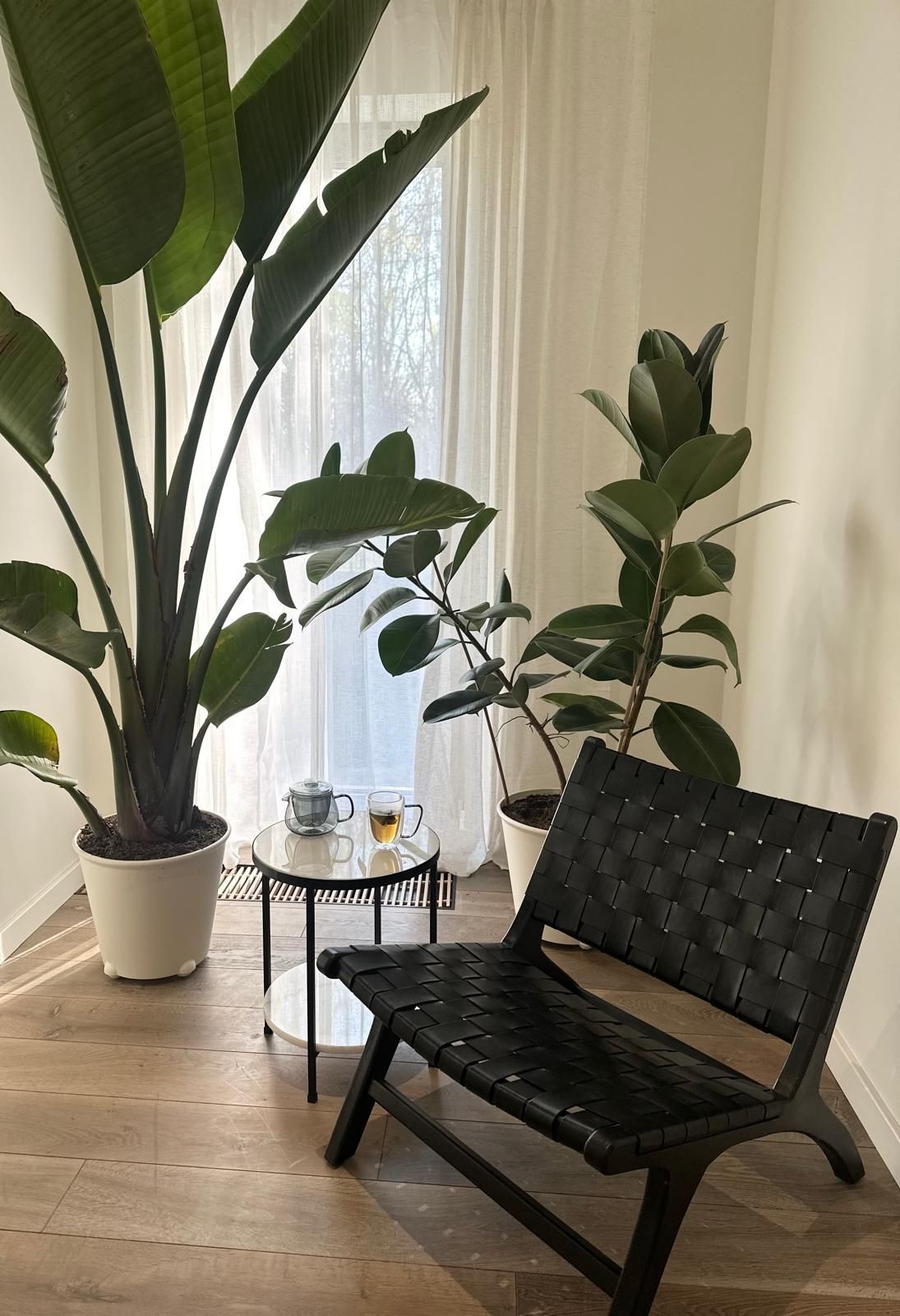 Izabella Ratajczak-1