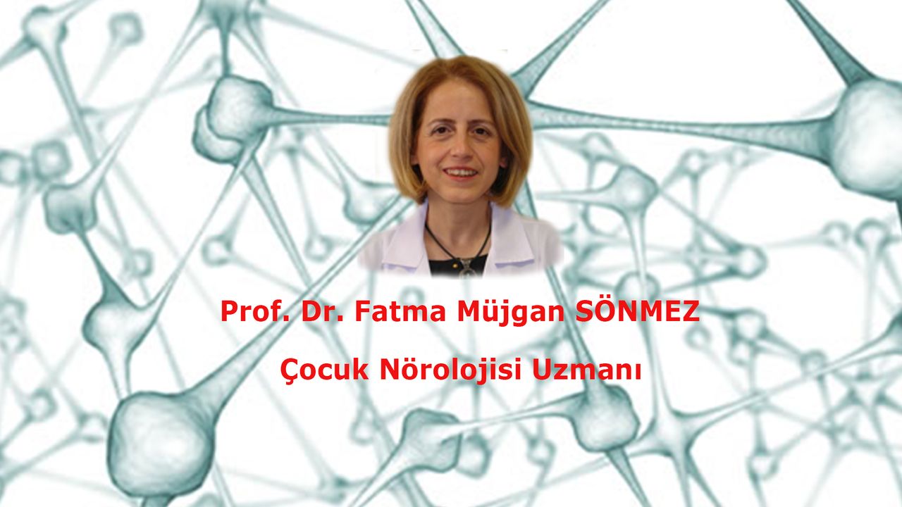 F. Müjgan Sönmez-3