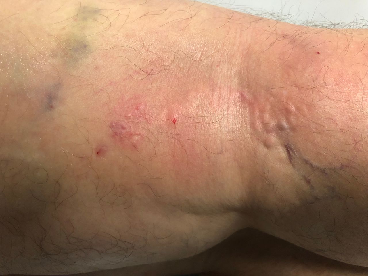 Wojciech Mrowiecki-3