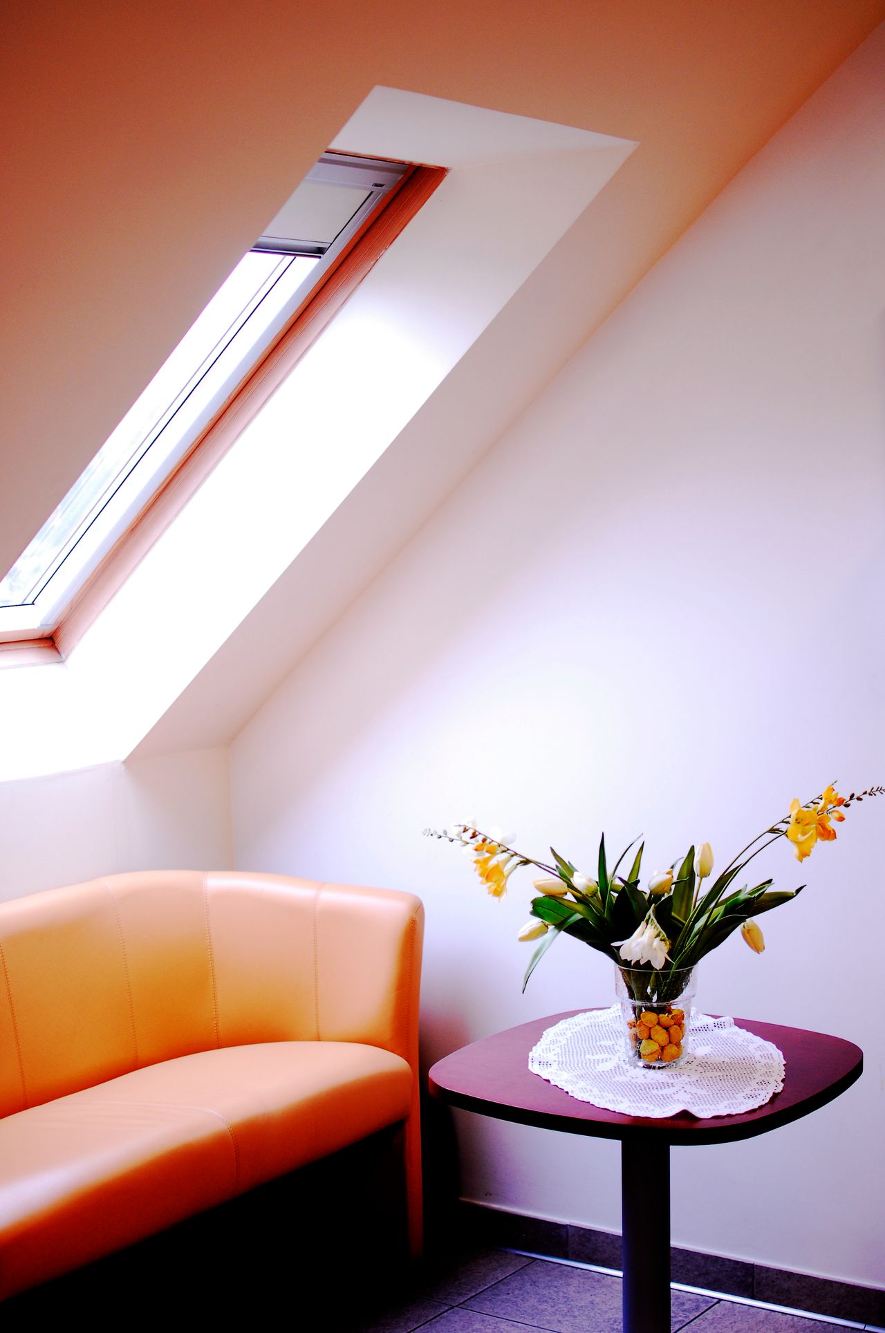 Dorota Tobiaszewska-2