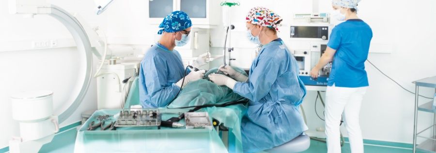 (Univ. Bukarest) Anna Koch-2