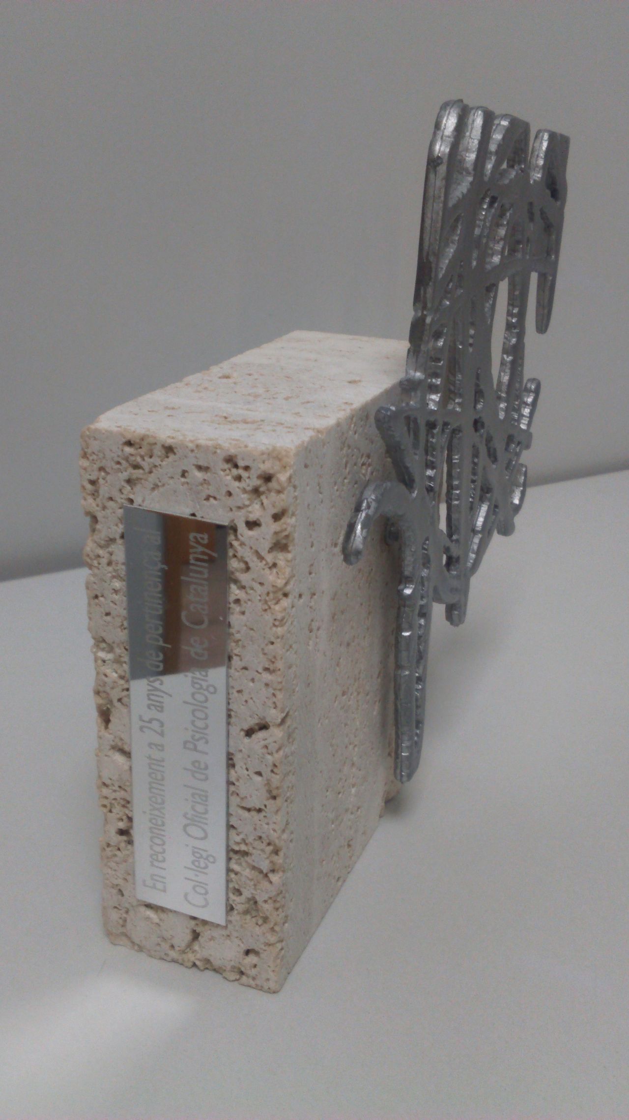 Mercè Castro Barbarà-3