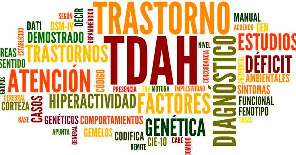 Cristina Cáceres Marzal-3