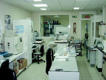 Jose Eduardo Martin Lluch-5