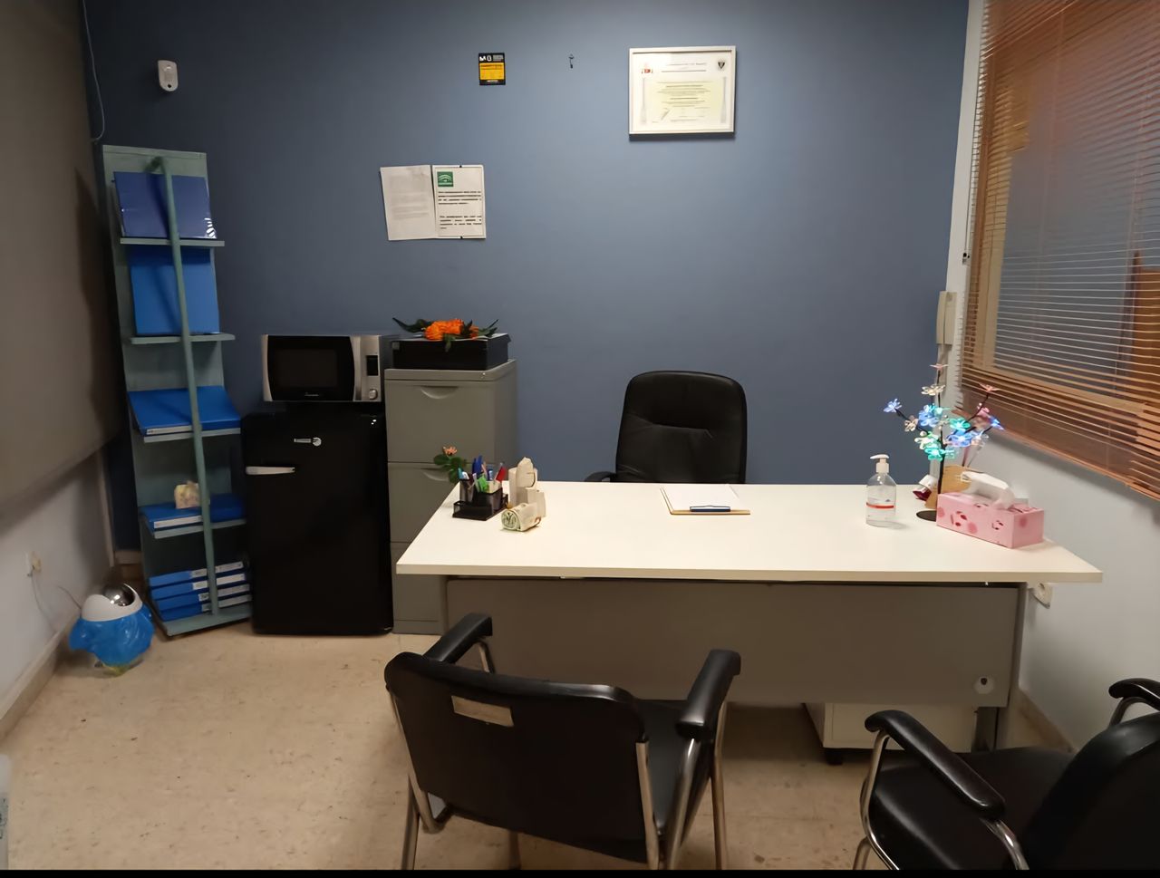 Rocío Núñez Rondón-1