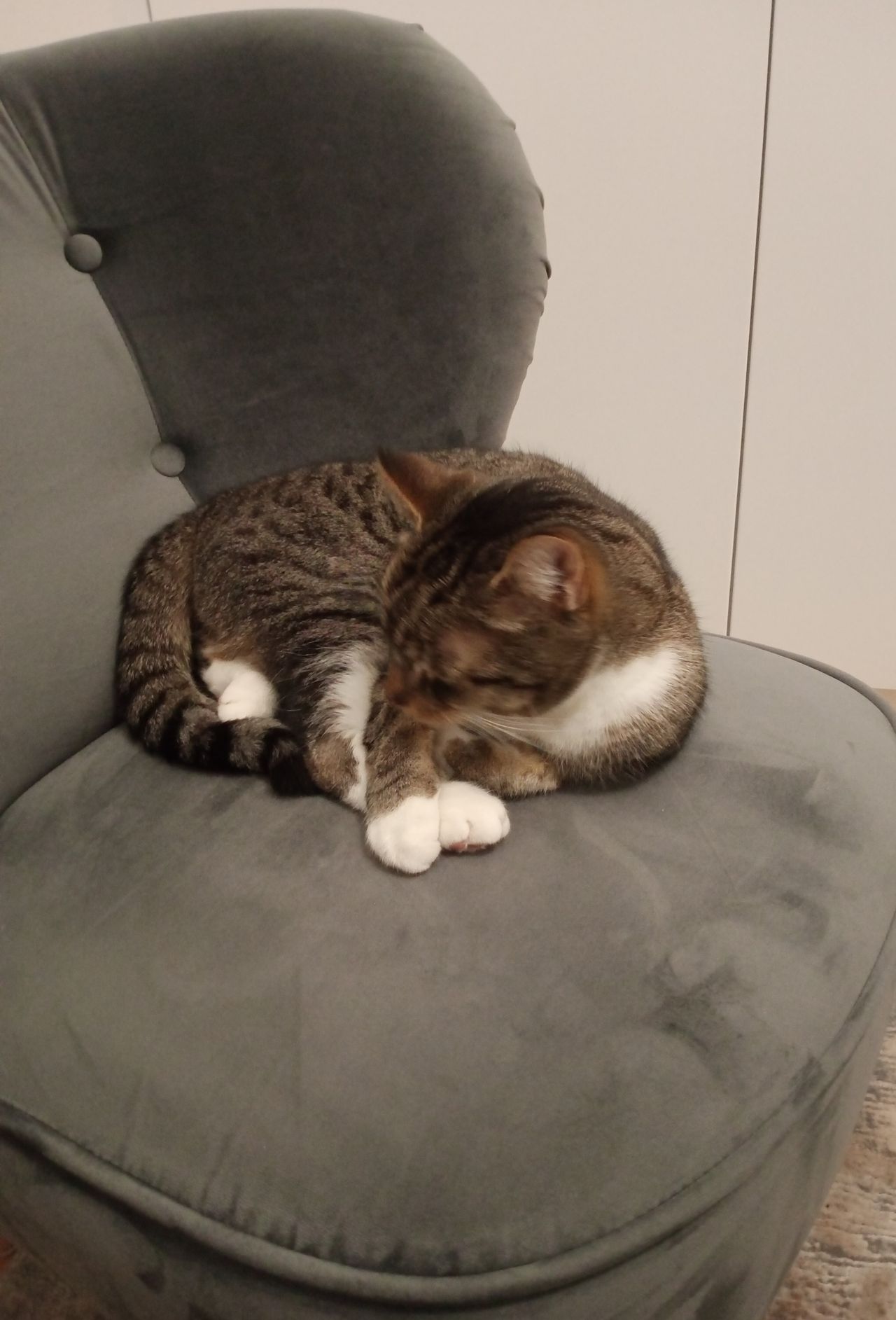 Barbara Truszkowska-3