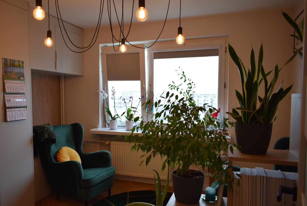 Magda Świtalska-Jastrzębowska-1