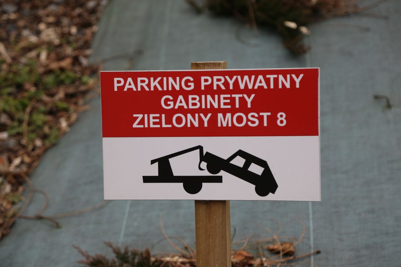 Anna Górecka-Tuteja-6