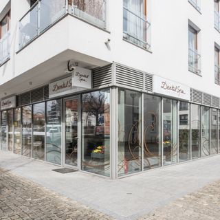Dental Spa Medical & Dental Clinic