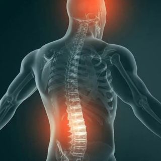 Centrum Fizjoterapii I Zdrowia Psychicznego FizjoNatura Mariola Zielińska