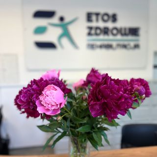 Rehabilitacja Etos Zdrowie