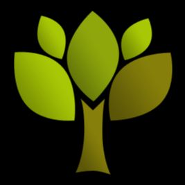 Naturheilpraxis Denise Seibert Ärztin